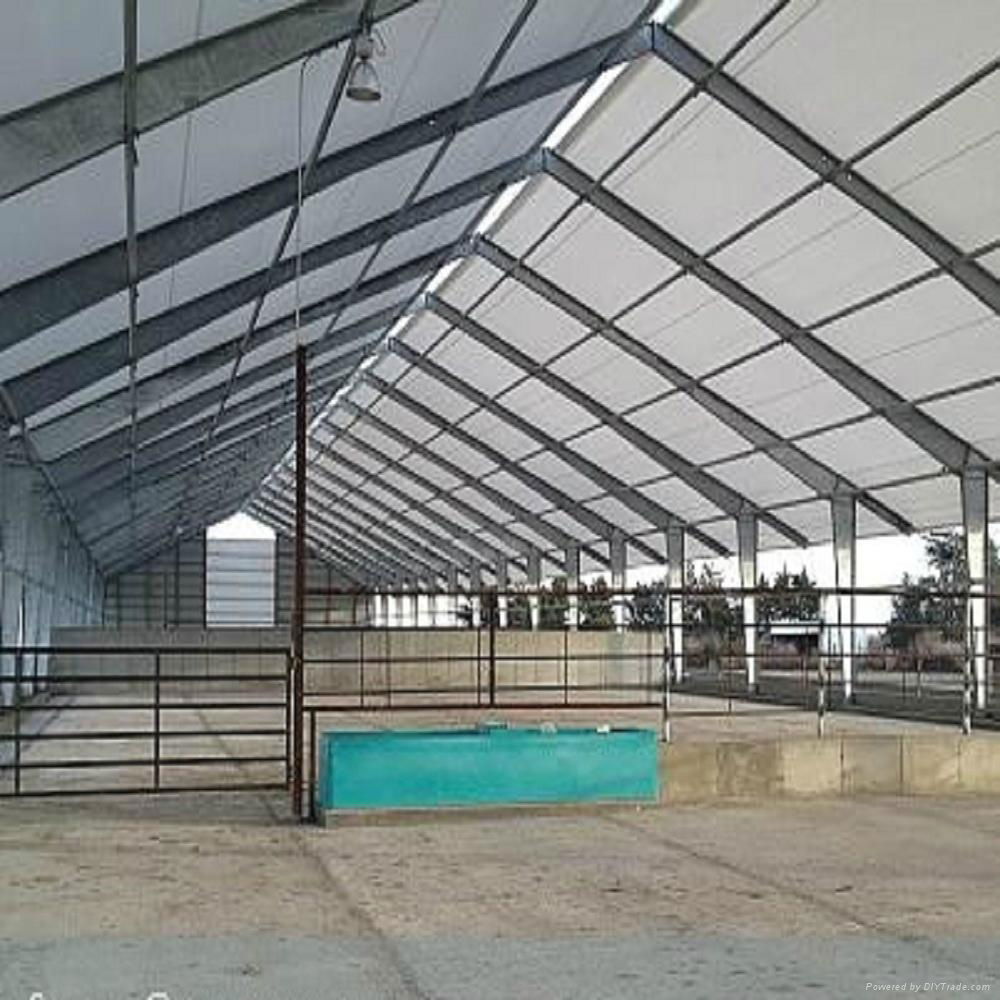 steel structure cow shed