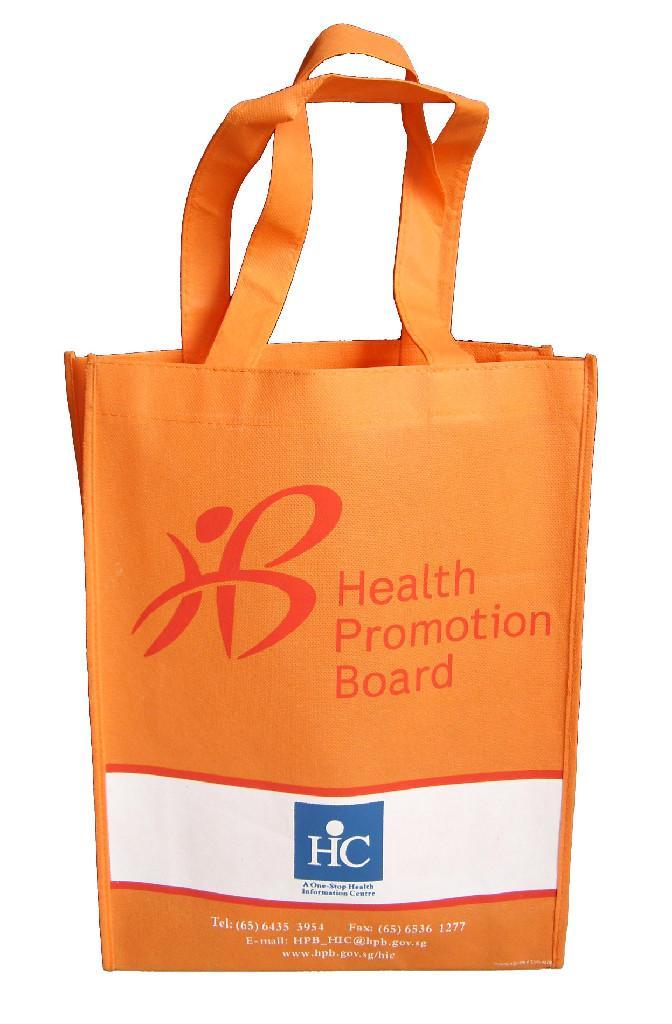 Non Woven Bag(SW09-B17)