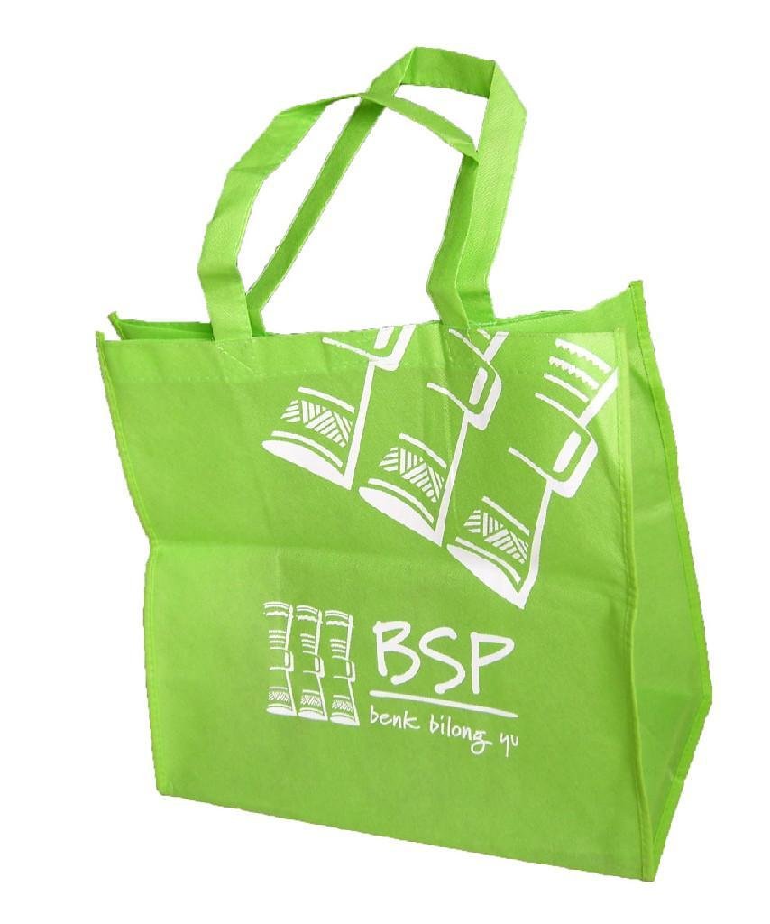Shopping Bag(SW10-B06)