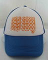 PROMOTIONAL BASEABLL CAP