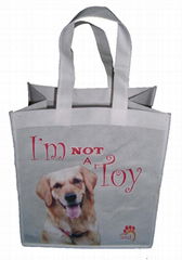 Shopping Bag(SW09-B06)