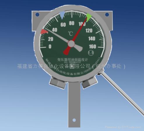 BWY-802(803) oil surface thermometer 2