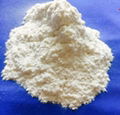 HPMC HYDROXY PROPYL METHYL