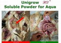 feed additive for livestock 