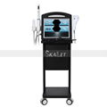 4 In 1 Portable Vmax 4D HIFU Facial And Body Lifting Machine