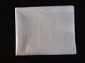 Disposable Towel 3