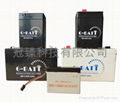 VRLA Battery （6V7AH)  AGM BATTERY