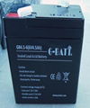 6V4.5AH 应急灯玩具车电子称用蓄电池 4