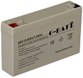 Toy Battery （6V7AH)  AGM BATTERY