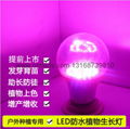 LED Grow Lights