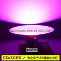 LED Grow Lights