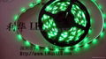 LED  Flexible strip