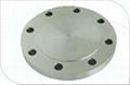 Blind flange 1