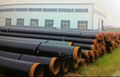 FBE 2LPE 2LPP 3LPE 3LPP coating pipe/ revestimiento de la tubería