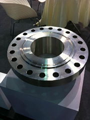 Stainless steel forged flange