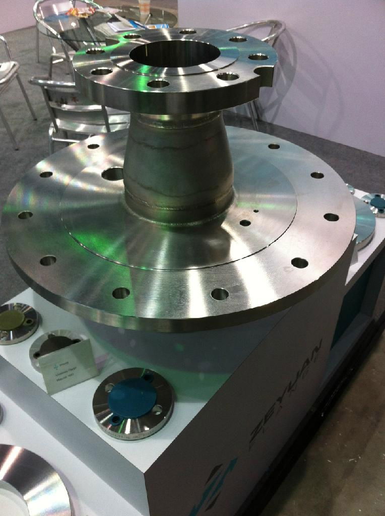 Stainless steel flange 3