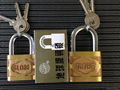 Globe Brand Padlock 2