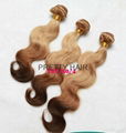 100g ombre brazilian virgin hair bodywave1pcs 3 tone