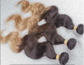 100g ombre brazilian virgin hair bodywave1pcs 3 tone