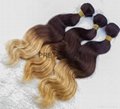 100g ombre brazilian virgin hair bodywave1pcs 3 tone