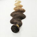 100g ombre brazilian virgin hair bodywave1pcs 3 tone