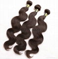 Rosa Malaysian Virgin Hair body weaves 4pcs/lot