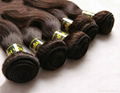 Rosa Malaysian Virgin Hair body weaves 4pcs/lot