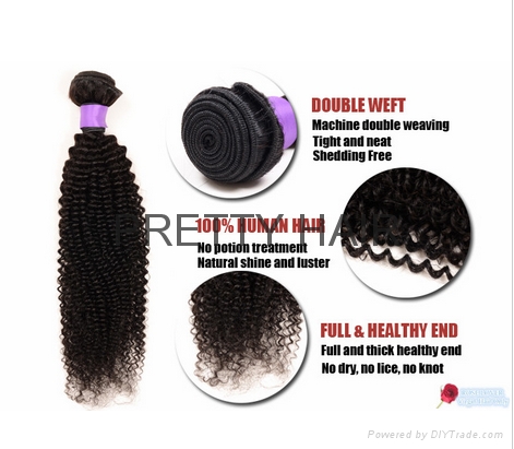  Brazilian Virgin Hair  KINKY CURL hair weaving 2