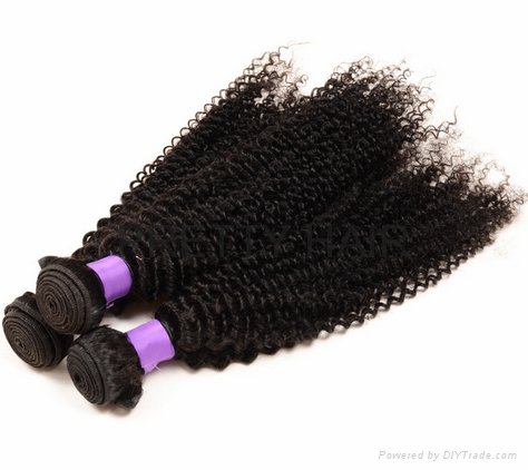  Brazilian Virgin Hair  KINKY CURL hair weaving 3