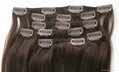 Brazilian Virgin Hair Straight Clip In Hair extensions 100% Human Hair 7pieces