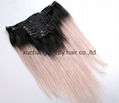 Ombre 1b/grey clip hair extension in Brazilian virgin hair