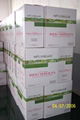 nonwoven bed / table rolls 1