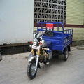 Cargo Tricycle 1