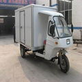 Closed Cargo Tricycle