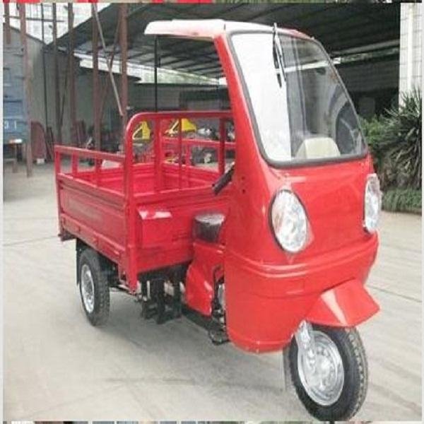 New Style Cargo Tricycle