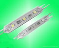 LED Modules light