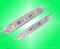 LED Modules light