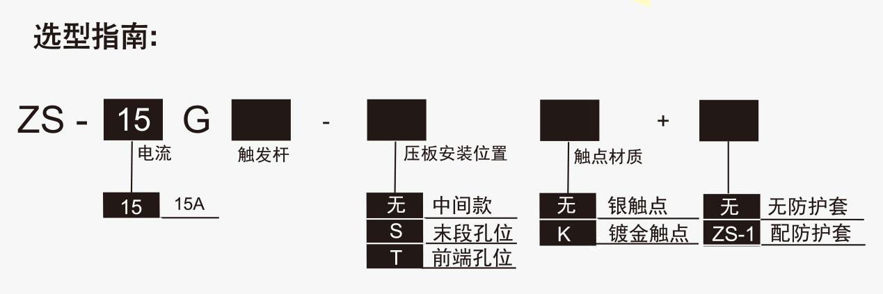 供应SUNS美国三实防水速动开关ZS-15GD安全微动开关 带强制开离 4