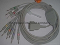 EKG cable and lead wire use in ECG Unit