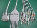 Schiller EKG 10-lead ECG cable with leadwires  1