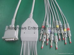 Schiller EKG 10-lead ECG cable with leadwires