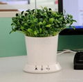 USB flowerpot