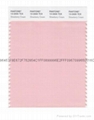 PANONE SMART color swatch card 2