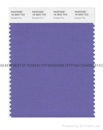 PANONE SMART color swatch card 3