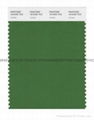 PANONE SMART color swatch card 4