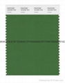 PANONE SMART color swatch card 5