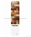 PANTONE彩通肤色指南STG201 国际标准皮肤颜色指南色卡 肤色色卡 1