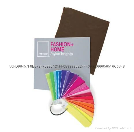 PANTONE彩通尼龙鲜艳色套装 FFN100 国际标准服装家居尼龙色色卡 2