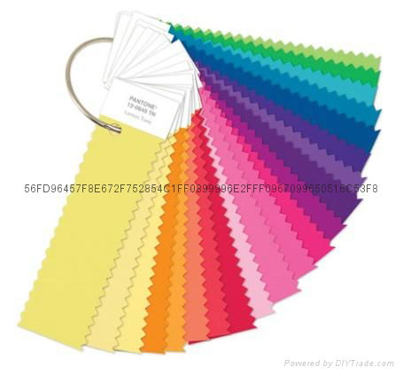 PANTONE Fashion + Home Nylon Brights Set 3