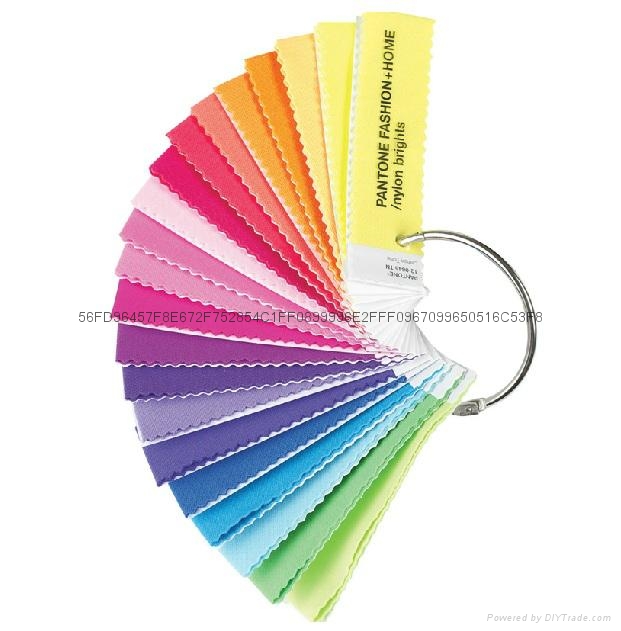 PANTONE Fashion + Home Nylon Brights Set 4